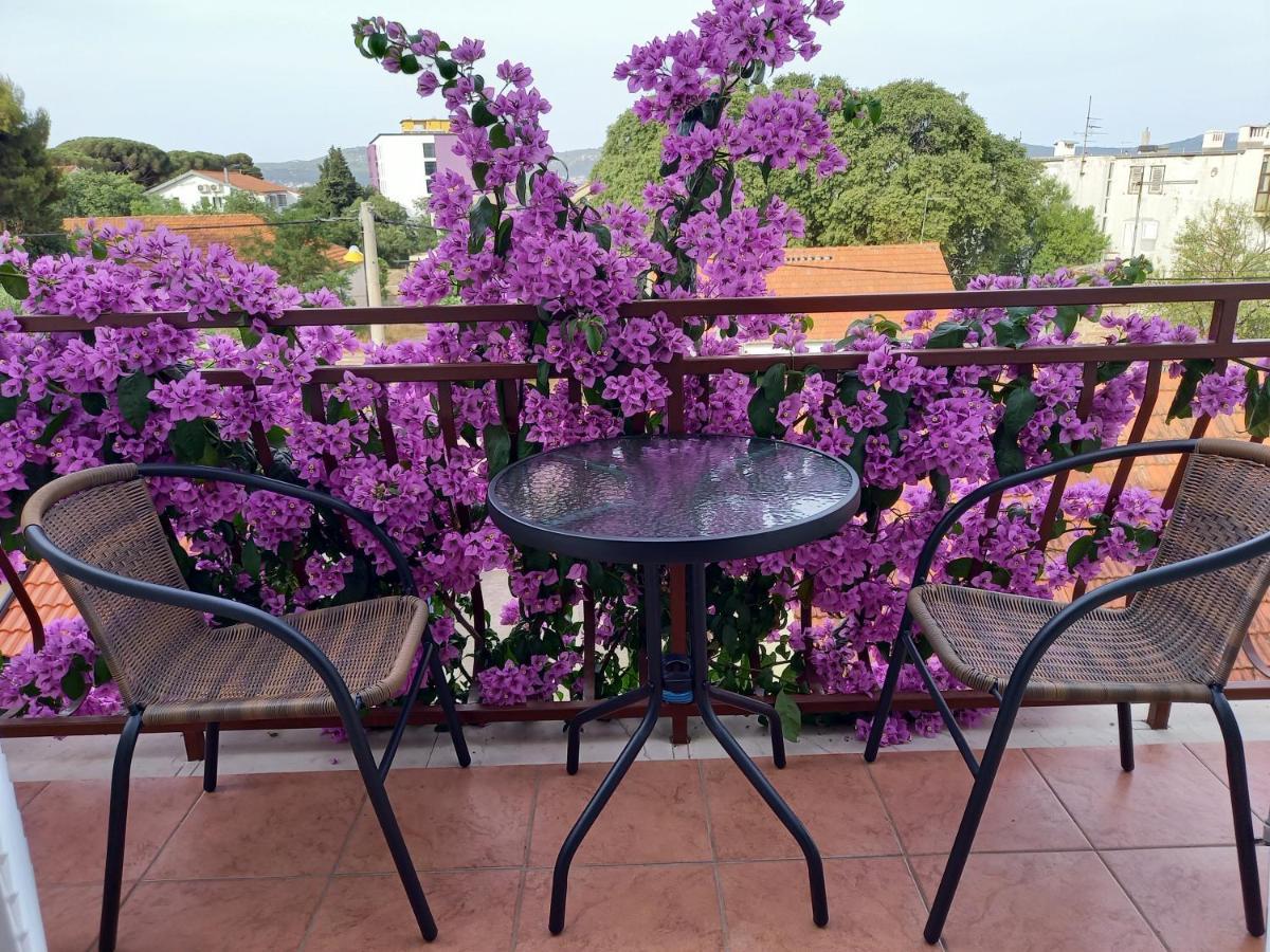 Apartmani Danica Biograd Na Moru Luaran gambar
